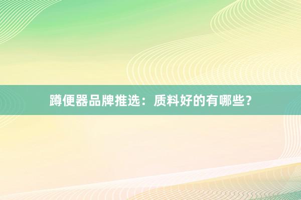 蹲便器品牌推选：质料好的有哪些？